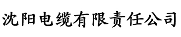 亚洲欧美日韩精品一区二区三区电缆厂logo